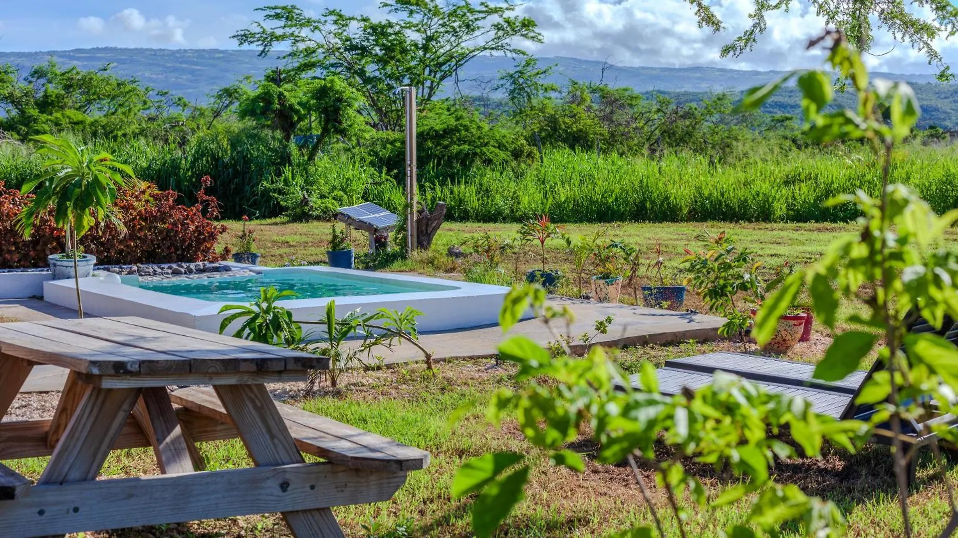 Cashaw Cabin - Private Retreat With A Pool Treasure Beach Jamaica