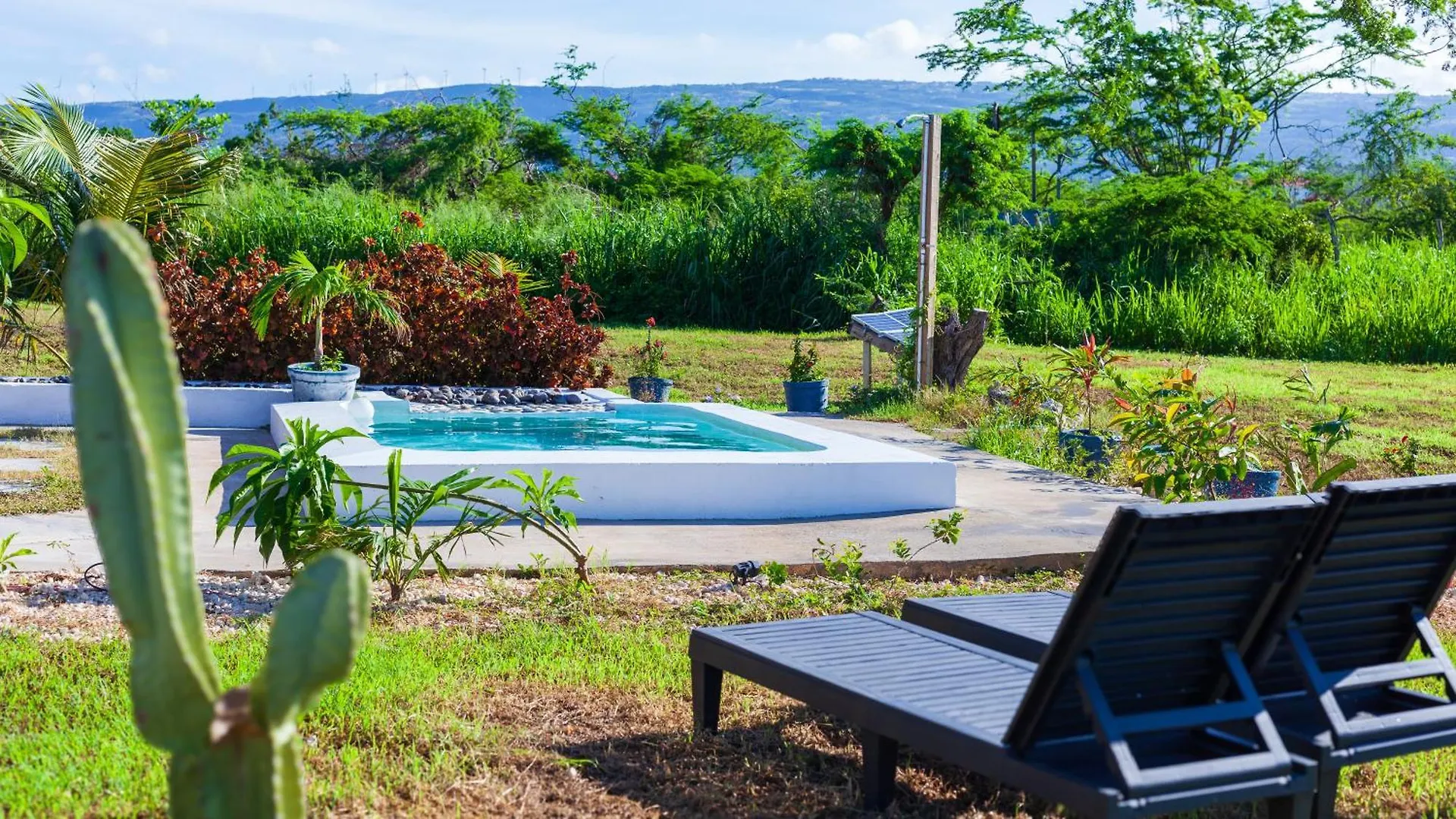 Cashaw Cabin - Private Retreat With A Pool Treasure Beach Holiday home